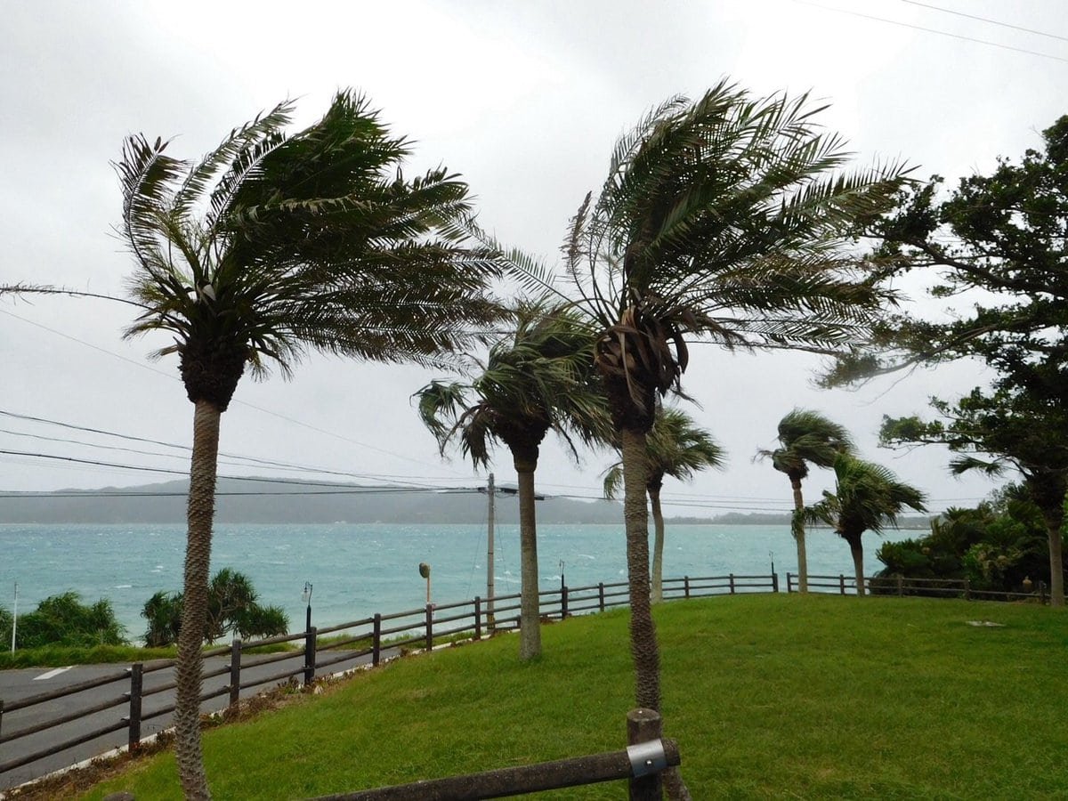 Typhoon Halola - the wind picked up in the afternoon and is meant to pass right over the island at 9pm