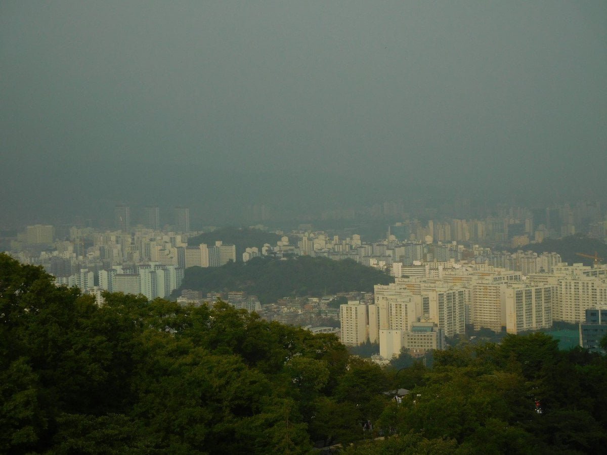 There are several hills in the city that have been left as parks