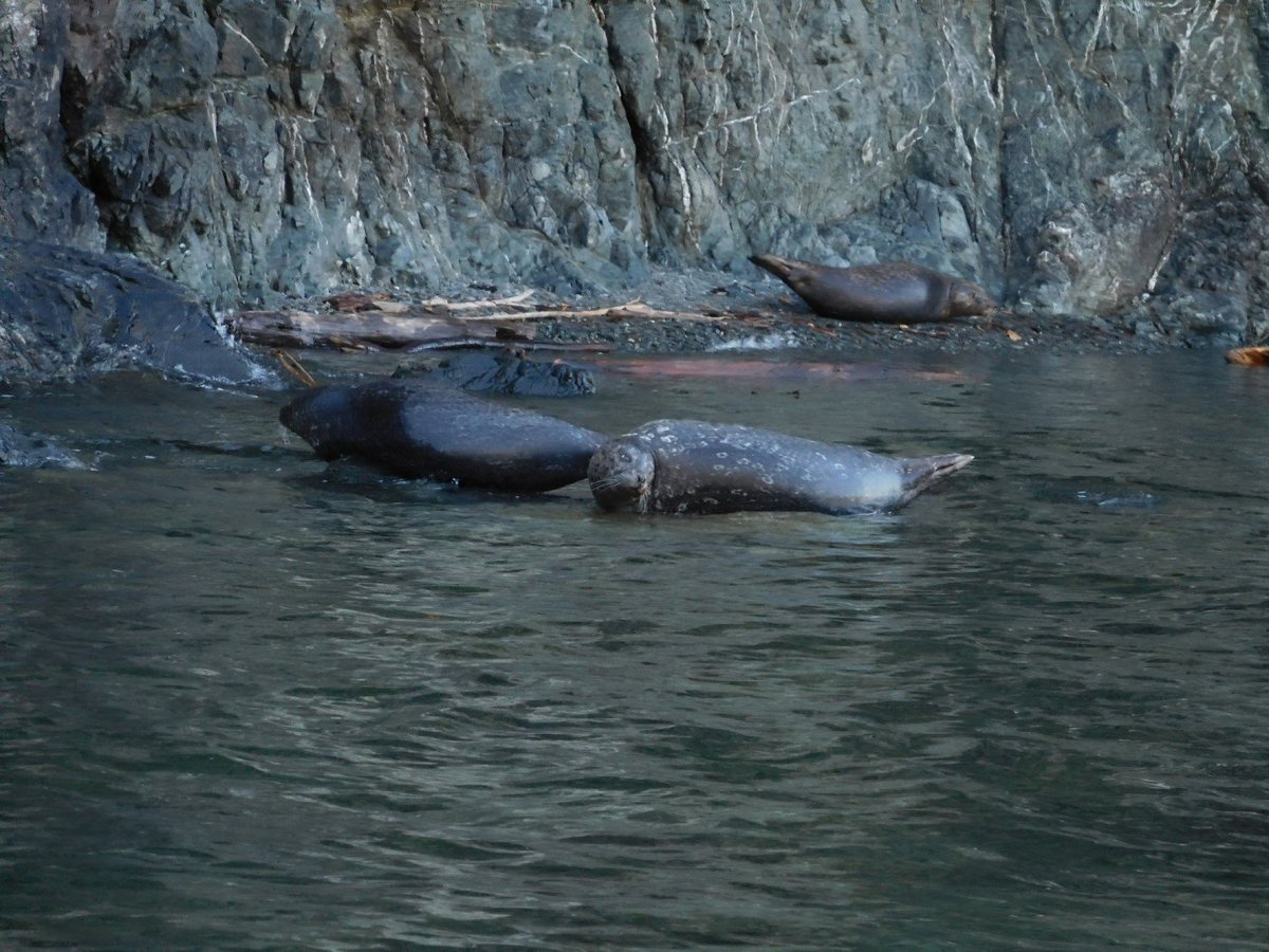 And these guys most definitely didn't mind the cold water